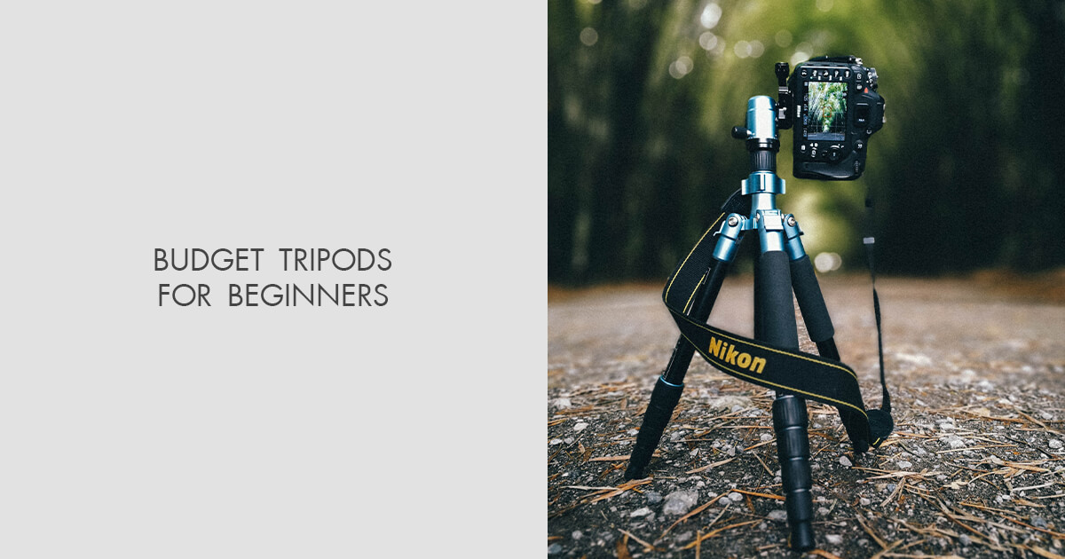8 Best Budget Tripods Fit All Purposes in 2024