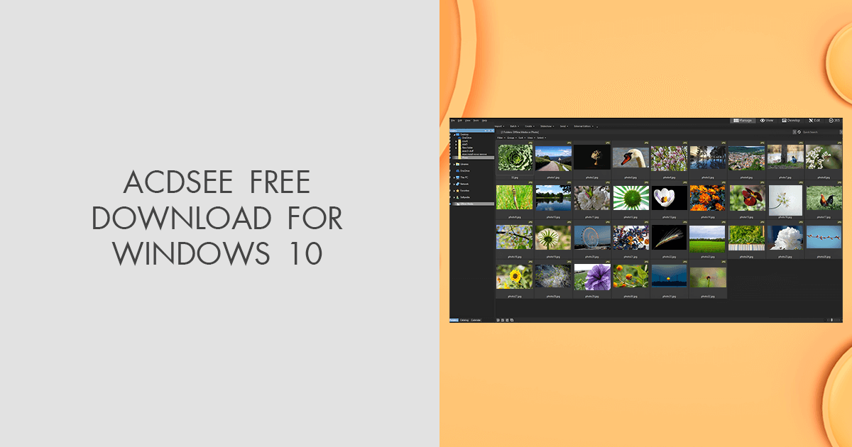 ACDSee Free Download for Windows 10 (Latest Version)