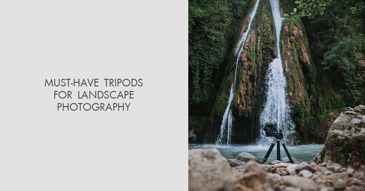 9 Best Tripods for Landscape Photography in 2024