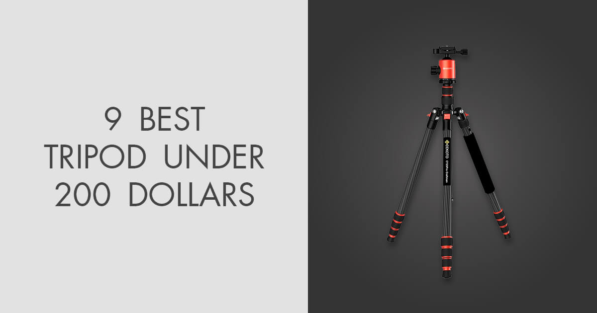 9 Best Tripods Under 200 Dollars in 2024