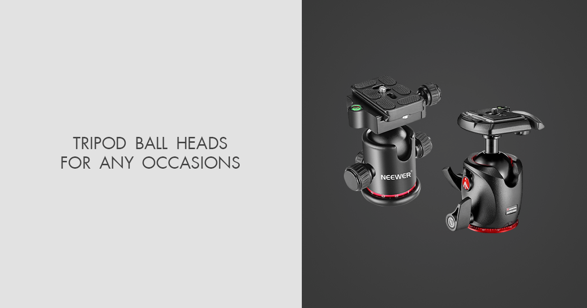 9 Best Tripod Ball Heads to Choose in 2024