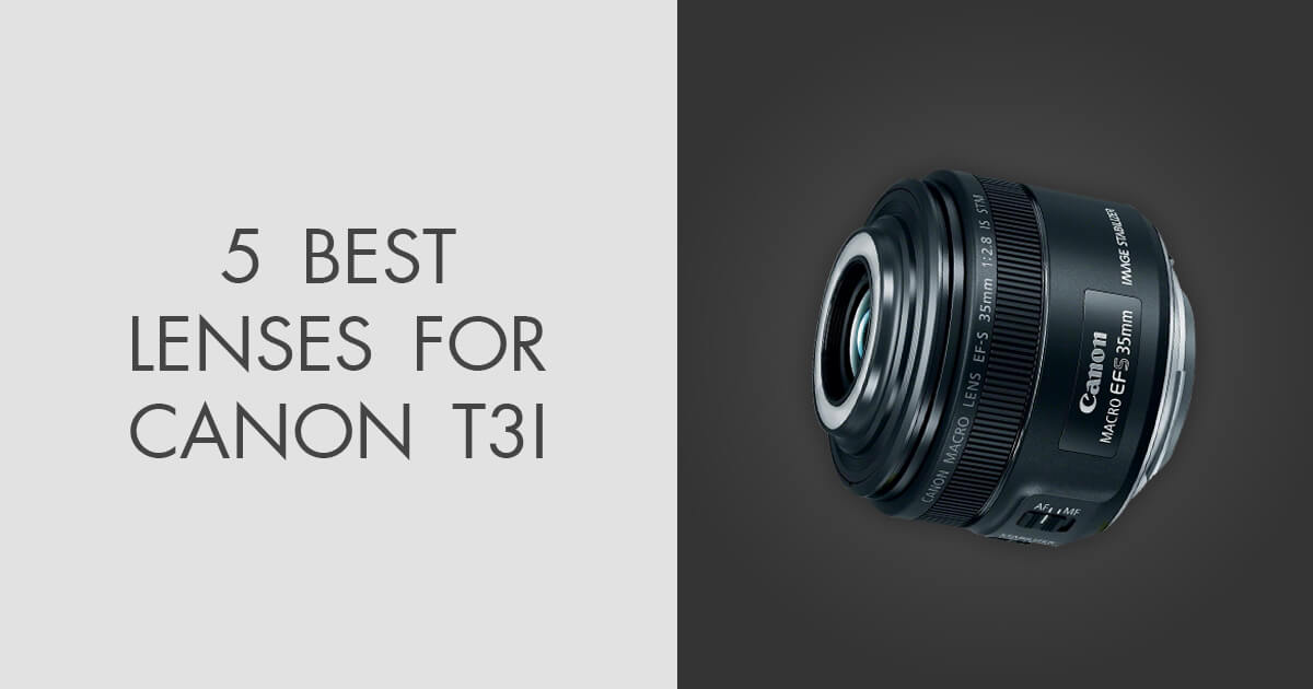 5 Best Lenses for Canon T3i in 2024