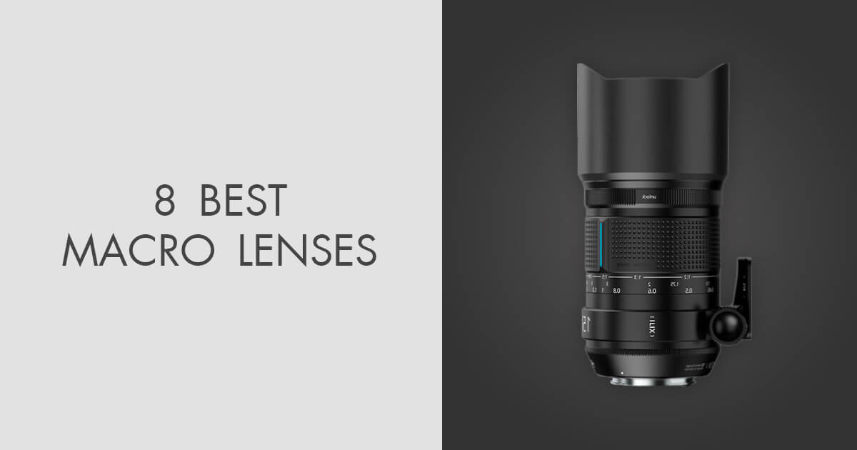 8 Best Macro Lenses in 2024 Ranked & Reviews