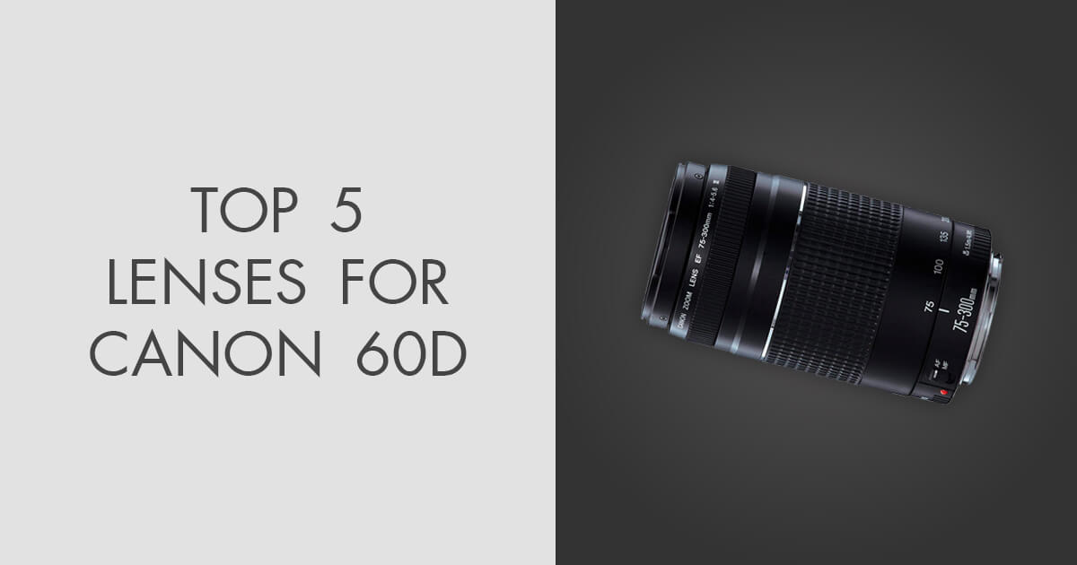5 Best Lenses for Canon 60D in 2024