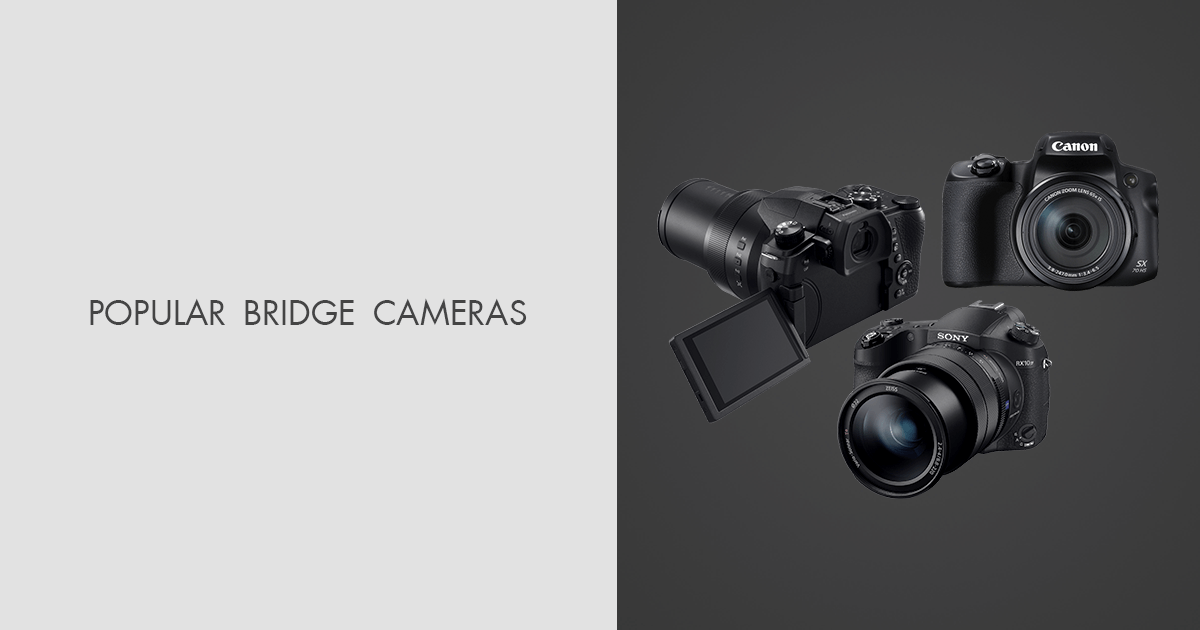 7 Best Bridge Cameras in 2024 New Models & Current Prices