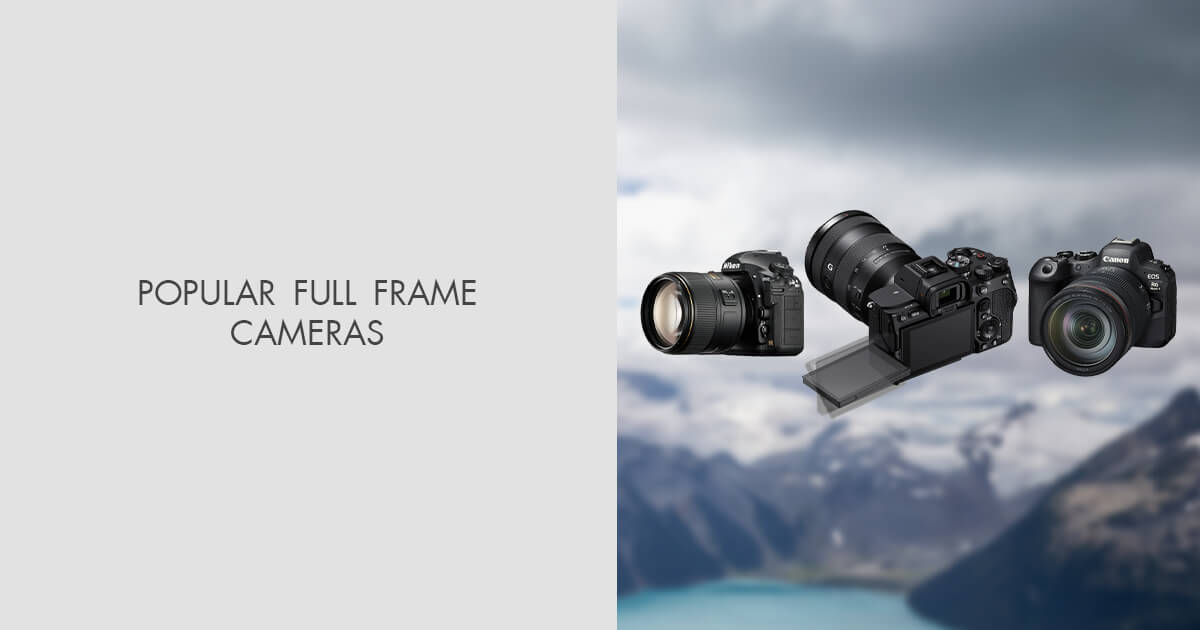 12 Best Full Frame Cameras in 2024 Pros & Cons