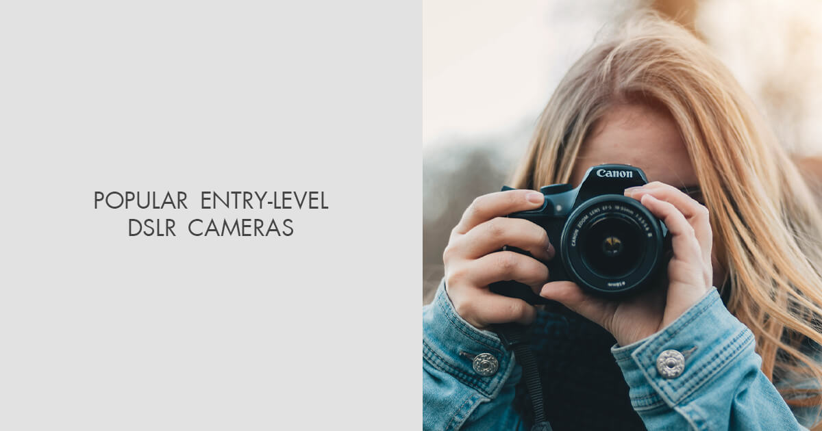 7 Best EntryLevel DSLRs in 2024 Based on Real Tests
