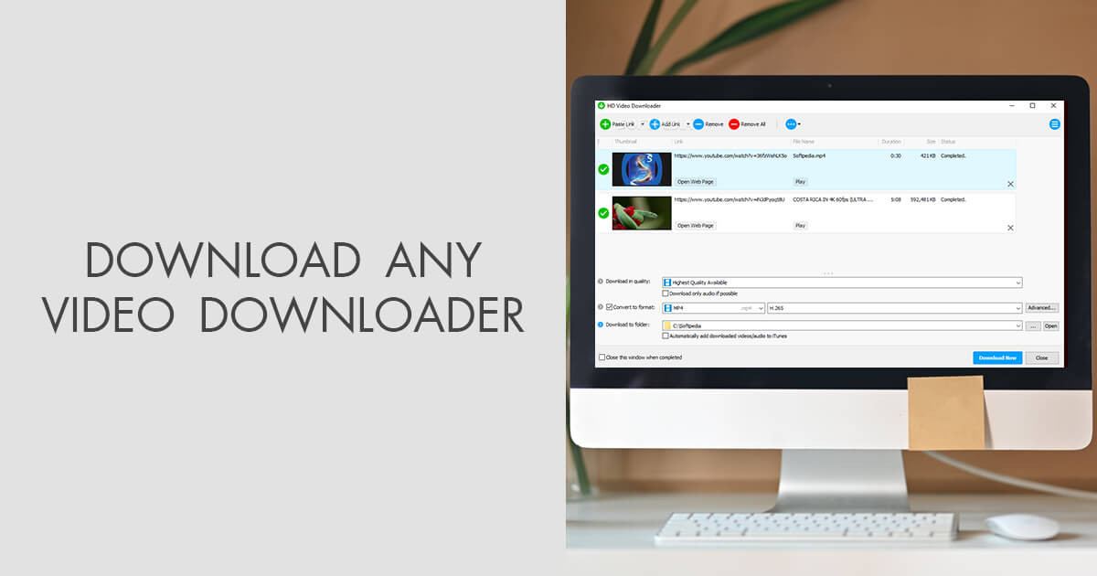 instal the last version for windows Any Video Downloader Pro 8.6.7