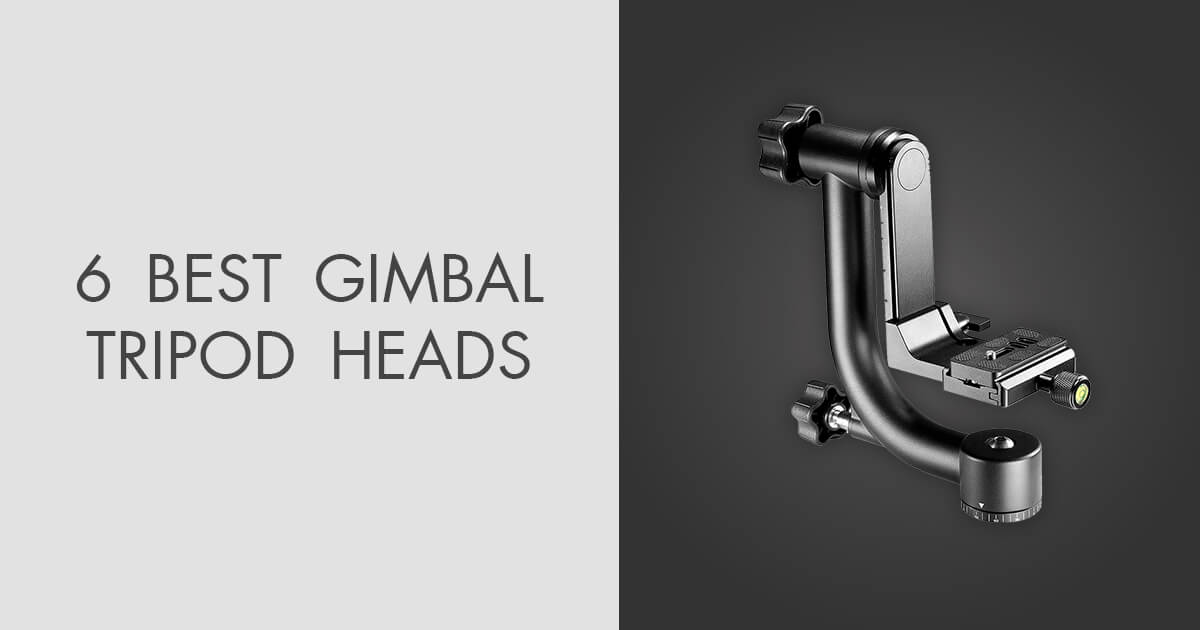 6 Best Gimbal Tripod Heads in 2023
