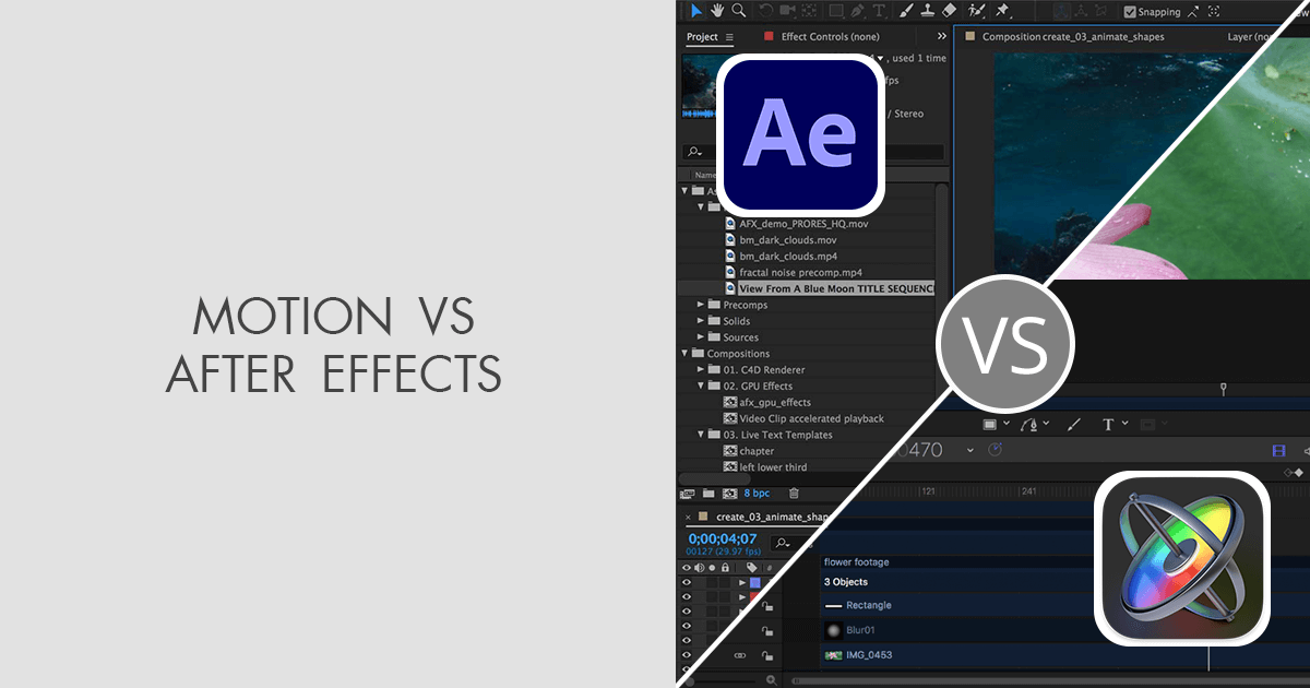 Motion vs After Effects Which Is NOT for Your Budget?