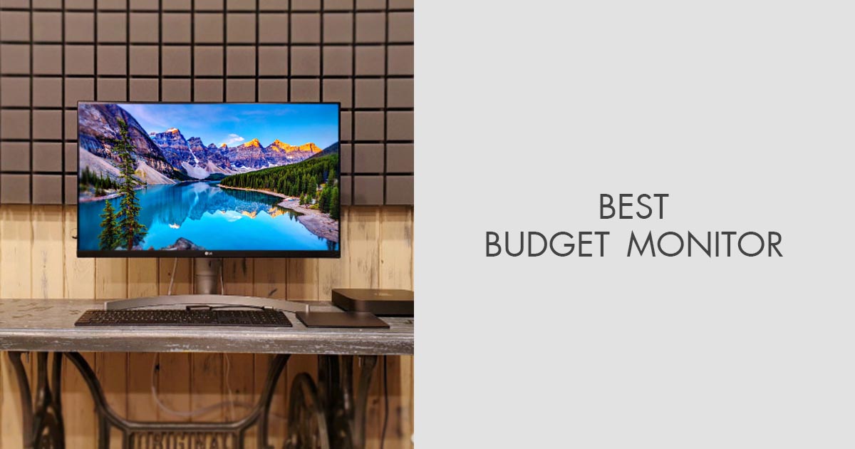 16 Best Budget Monitors in 2024
