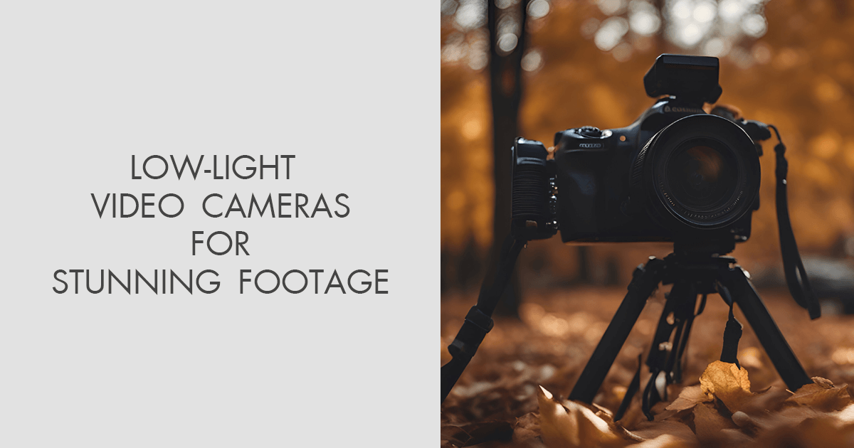 Best Low Light Video Cameras of 2024