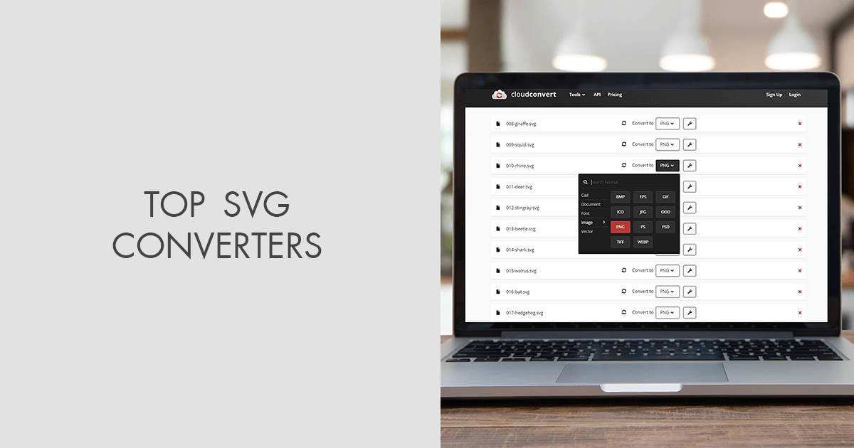 13 Best SVG Converters in 2025