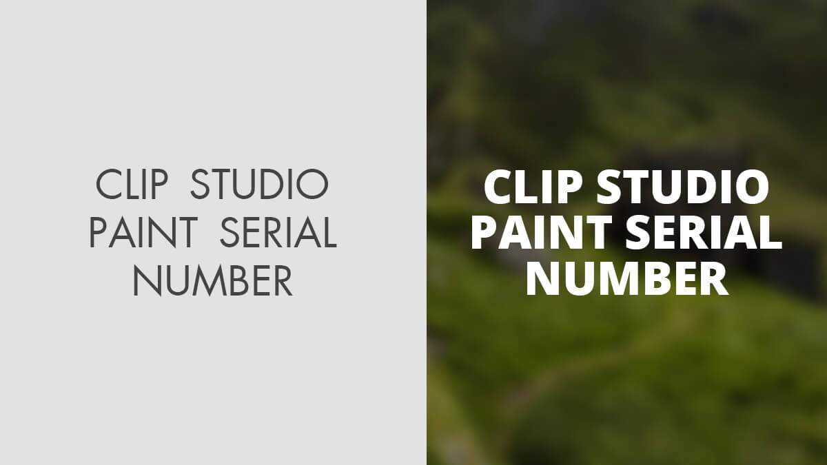 Clip Studio Paint Serial Number (Free Download)
