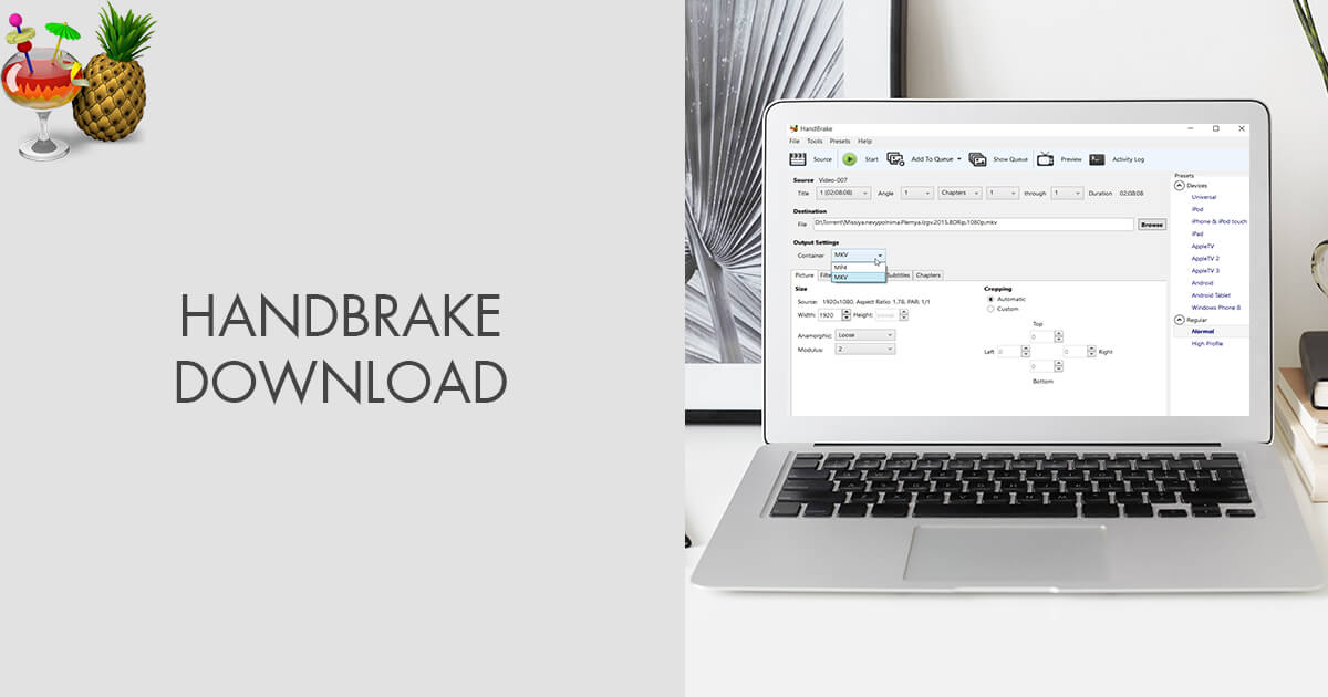 Handbrake Download (Updated 2024 Version)