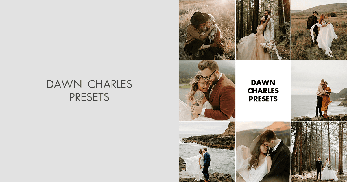 Dawn Charles Presets Review 2024 BONUS FREE TOOLS