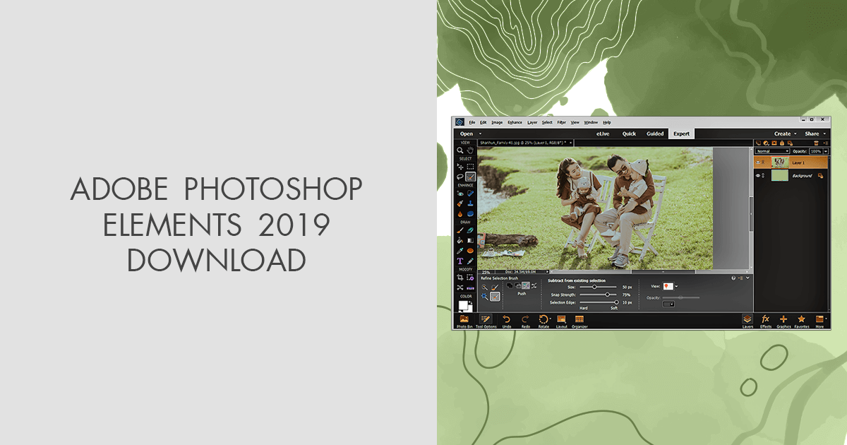 adobe photoshop elements 2019 windows download version