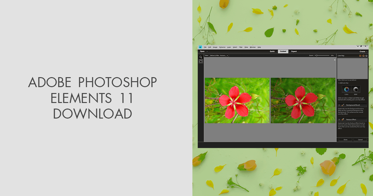 buy photoshop elements 11 download