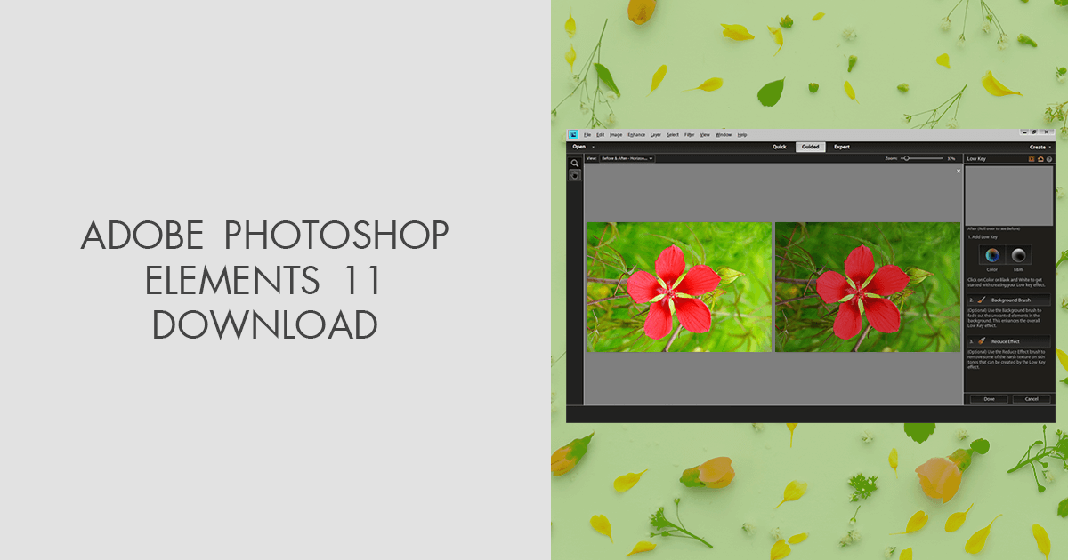 how to download photoshop elements 11