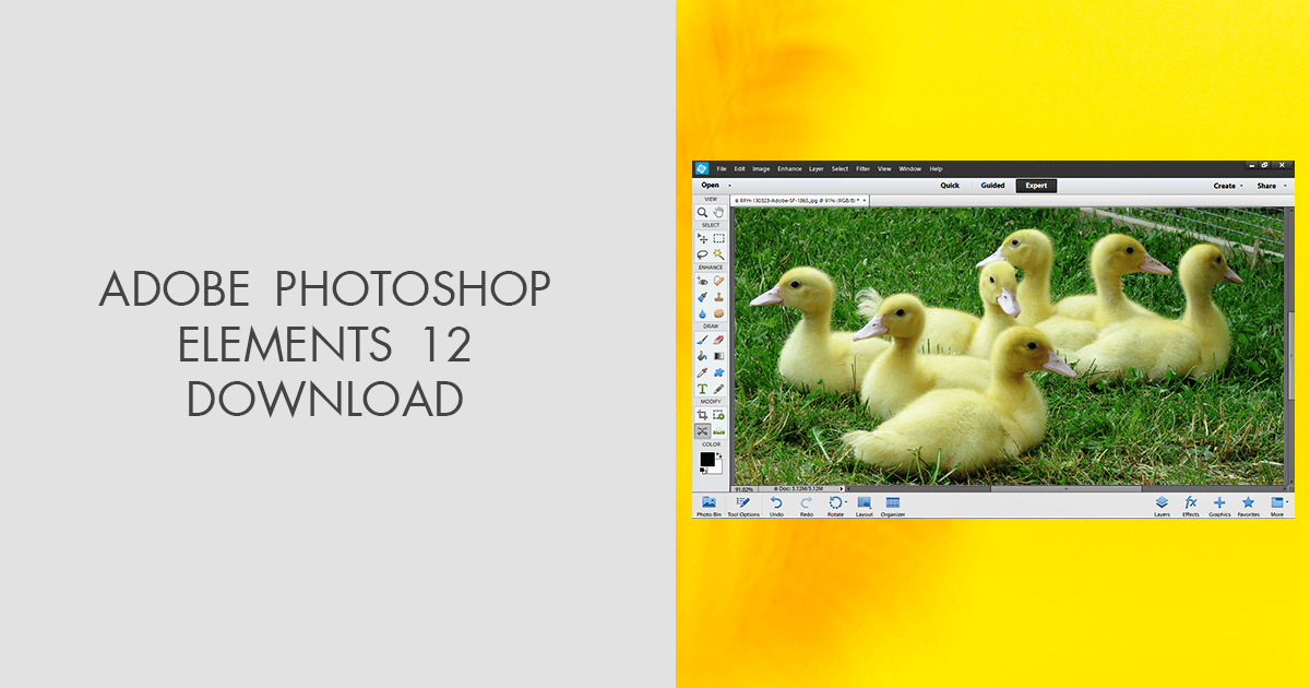 adobe photoshop elements 12 upgrade download