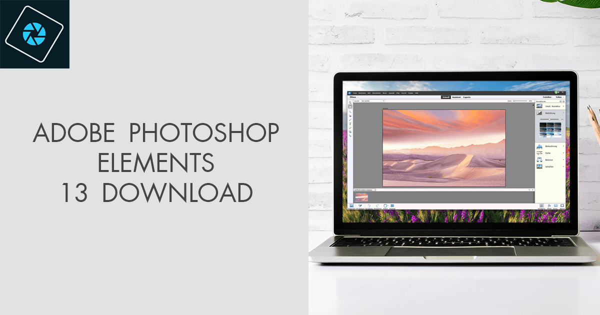 adobe photoshop elements 13 download
