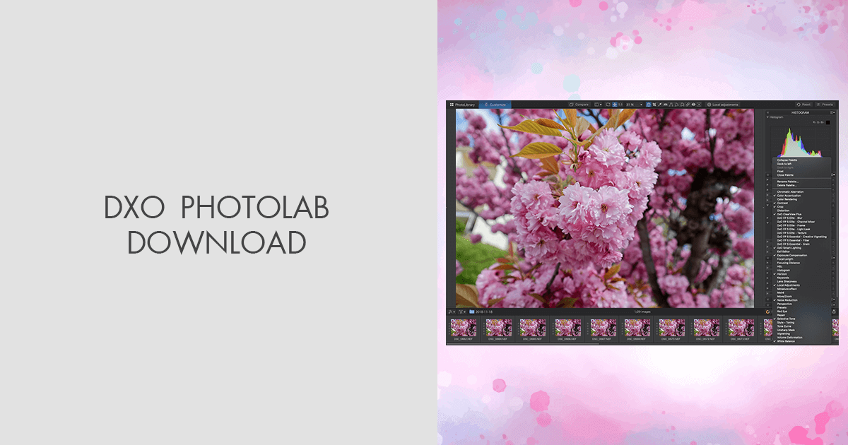 instal the new version for android DxO PhotoLab 6.8.0.242