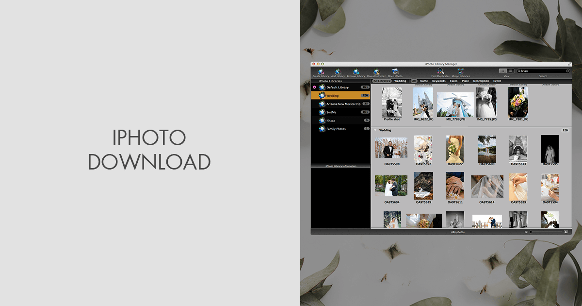 download iphoto app not update