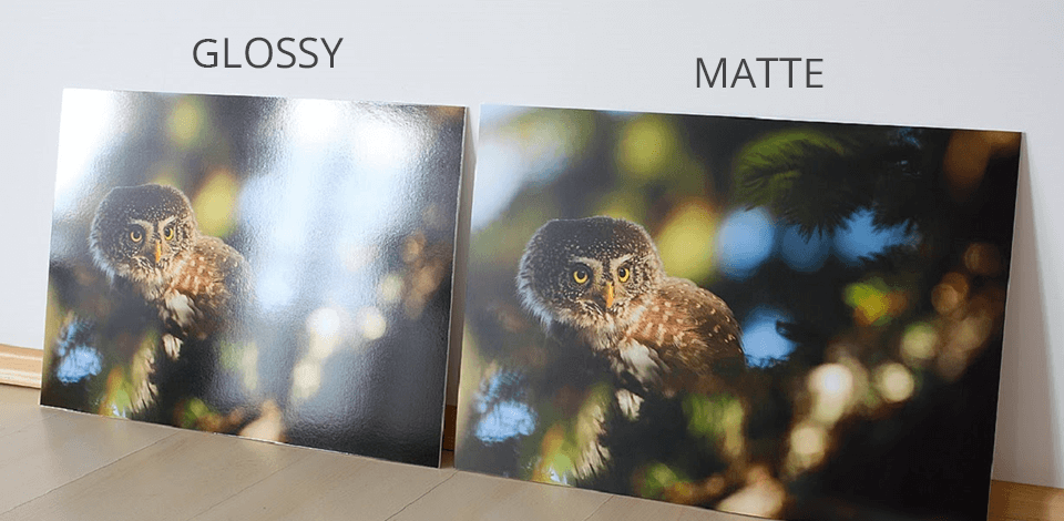 Matte Vs Glossy Photos Which Finish Is Better