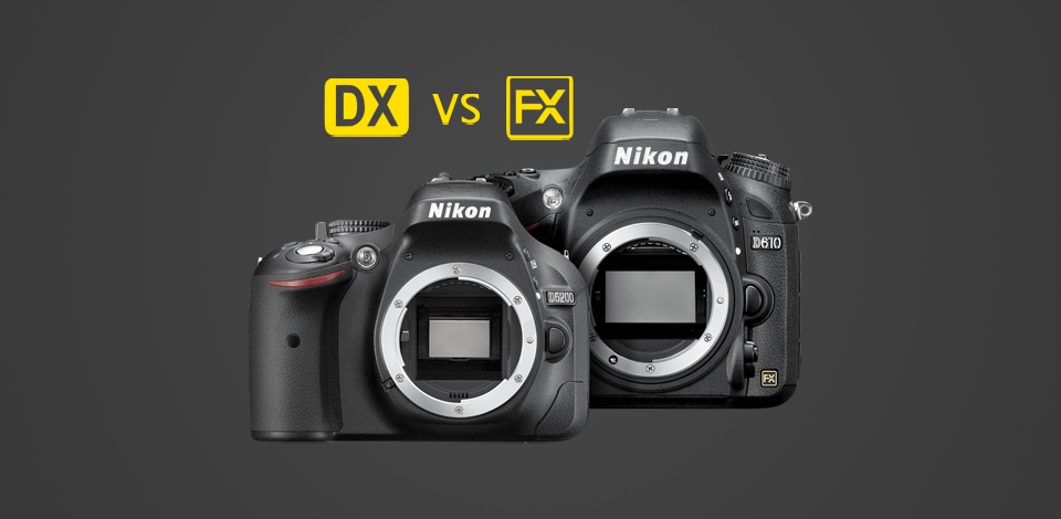 Nikon Dx Vs Fx Whats The Difference