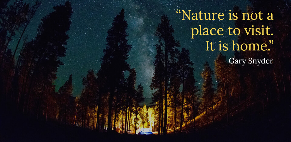 Nature Photography Quotes & Captions for Great Views