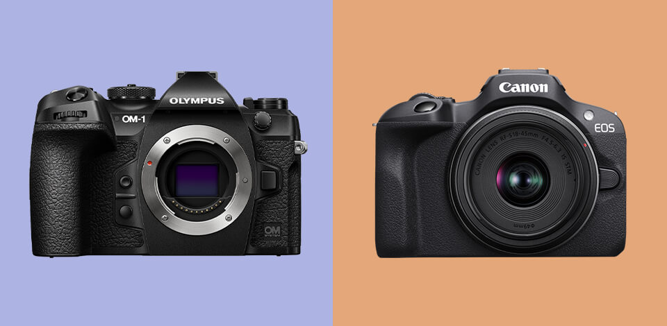 12 Best Camera Brands in November 2023