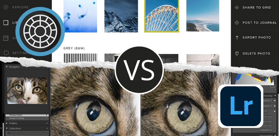 VSCO vs Lightroom Which Is NOT Good for Beginners?