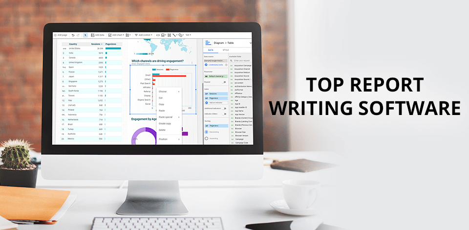 what is report writer software