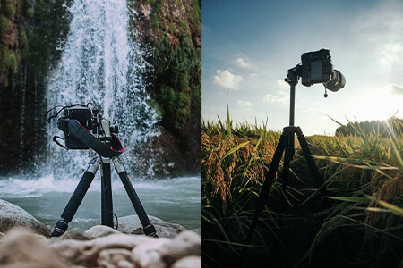 7 Best Tripods for Wildlife Photography in {{%year}}