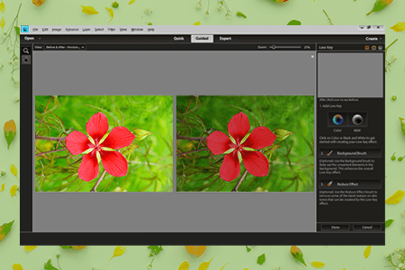 adobe photoshop elements 12 download link