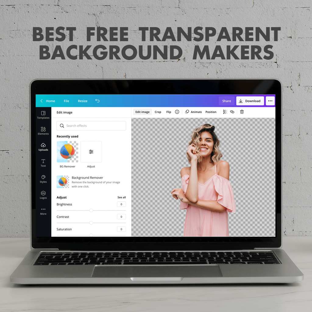 Top 9 Transparent Background Makers to Make Image Transparent in 2023