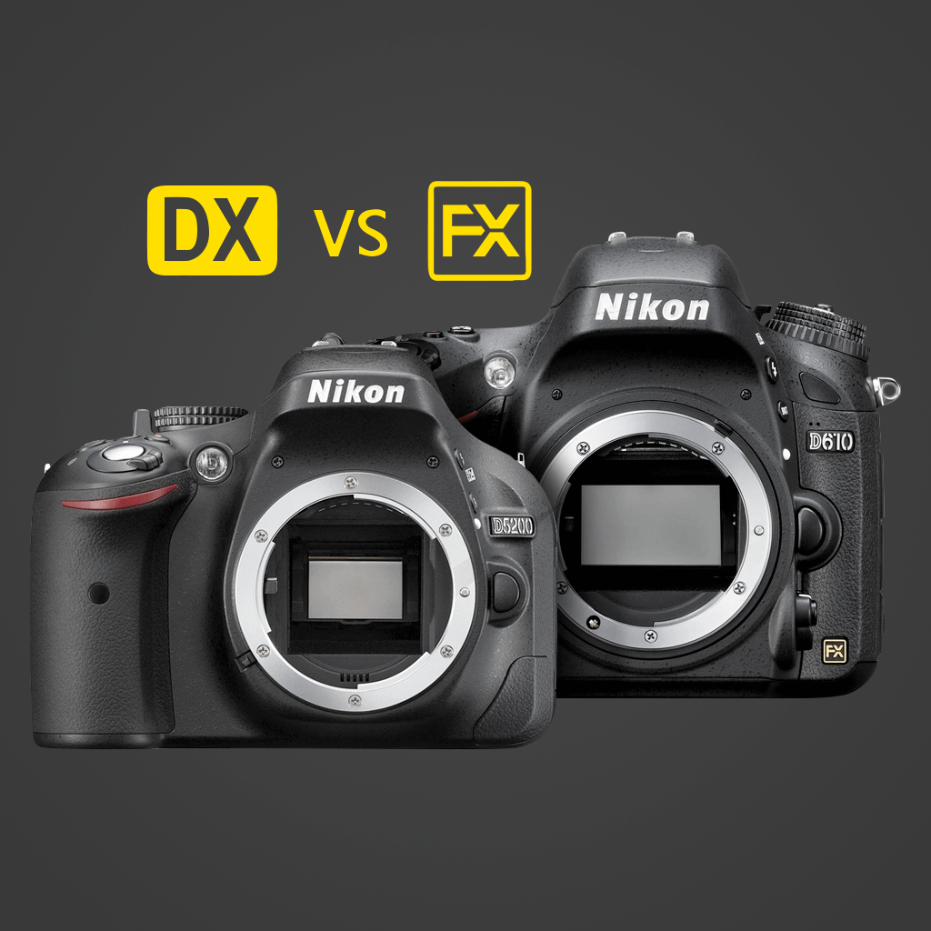 Misschien Onbevreesd dosis Nikon DX vs FX: What's the Difference?