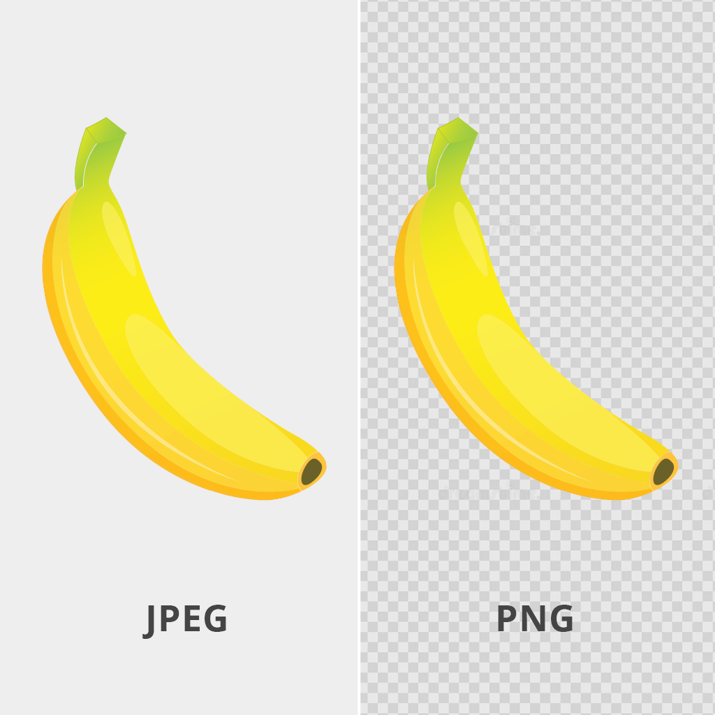 Difference Between JPEG and PNG – Which Should You Use?