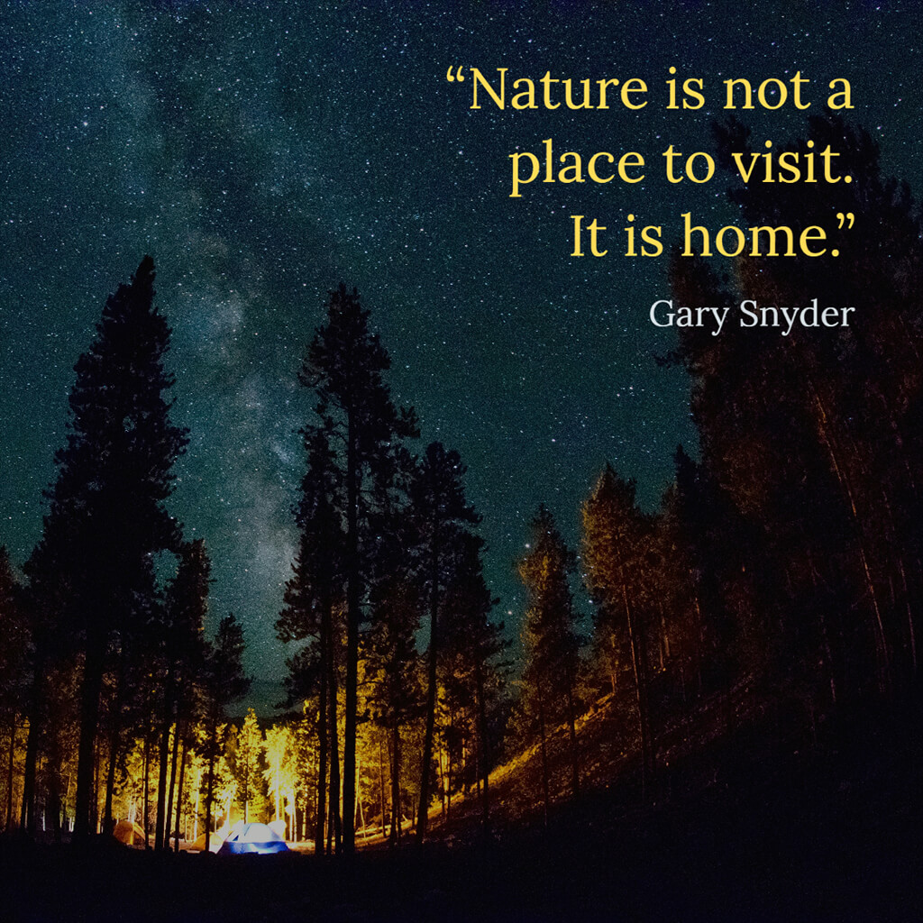 Nature Photography Quotes & Captions for Great Views