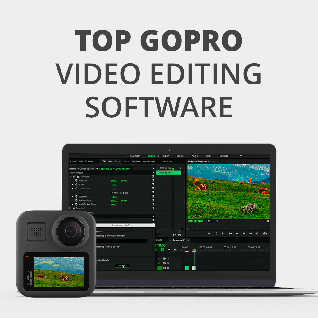 dennenboom Zeemeeuw experimenteel 15 Best GoPro Video Editing Software in 2023