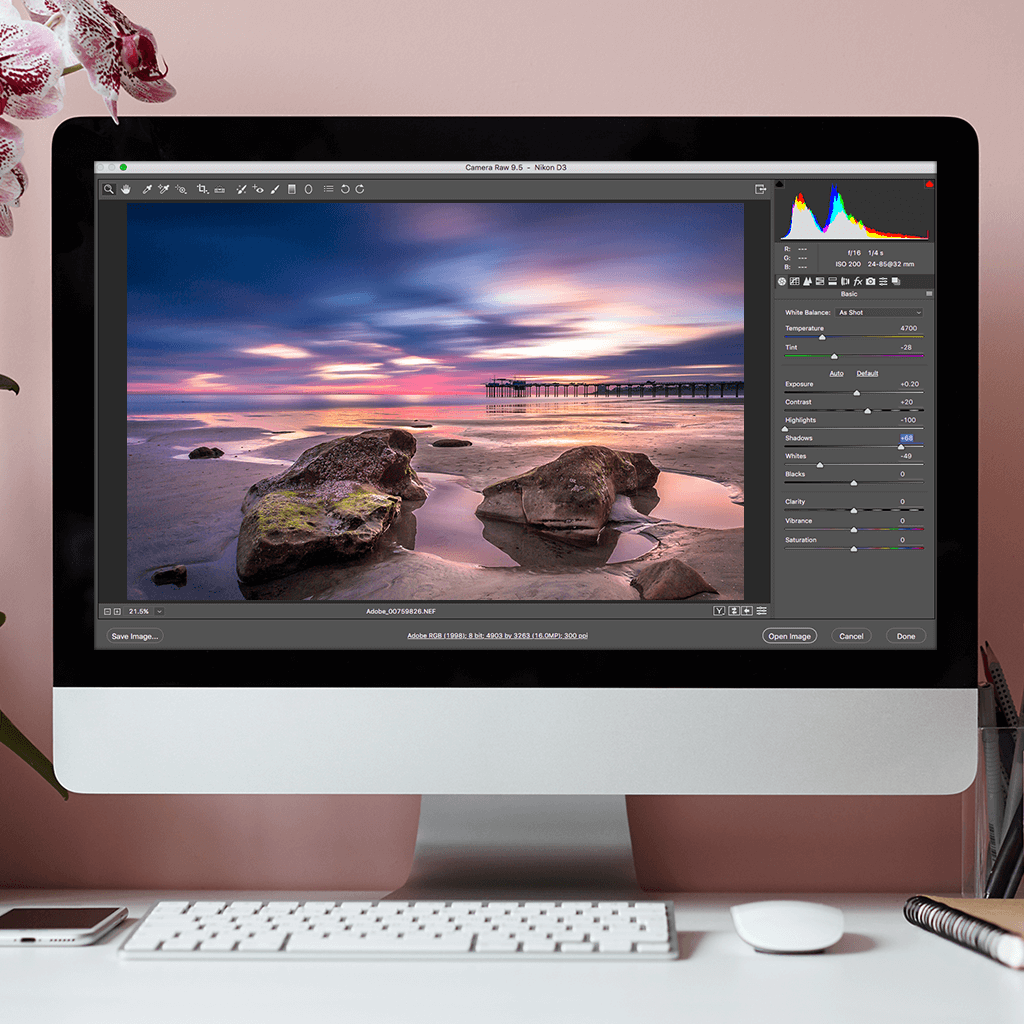 raw processing software for mac