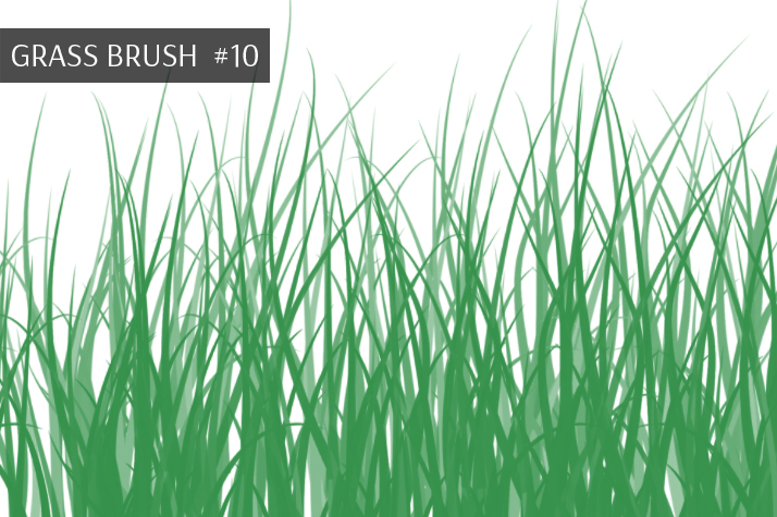 photoshop grass brush free download