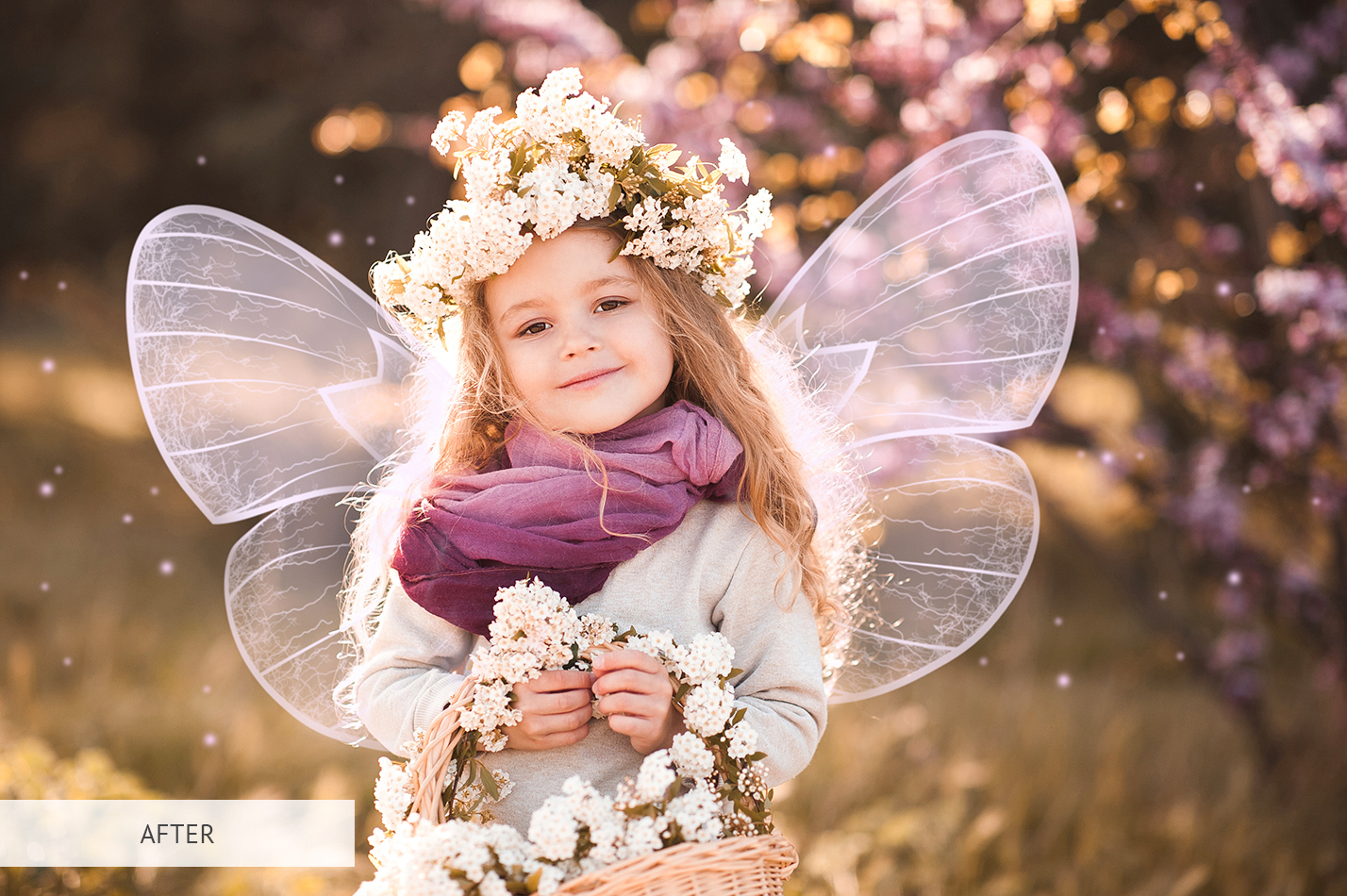 Fairy Wings Overlay Free|Wings Overlay Photoshop Collection