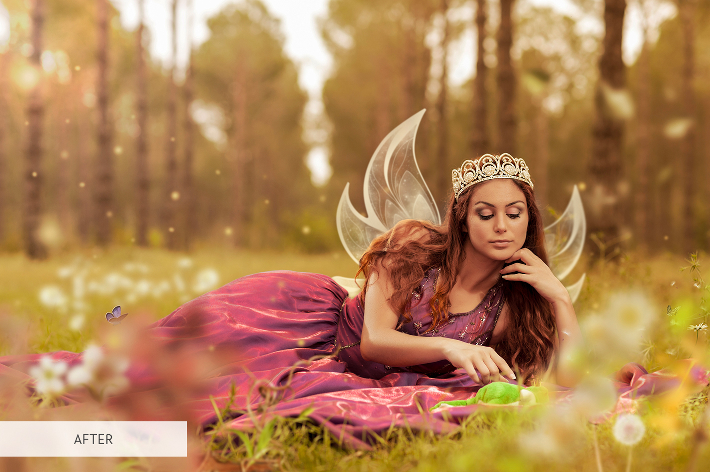 Fairy Wings Overlay Free|Wings Overlay Photoshop Collection