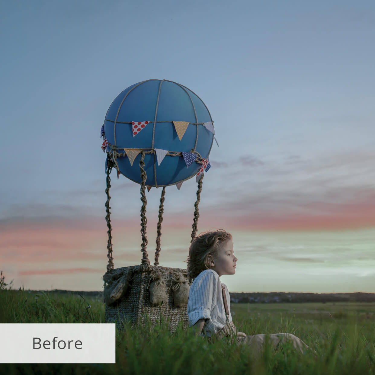 camera raw presets camera raw presets