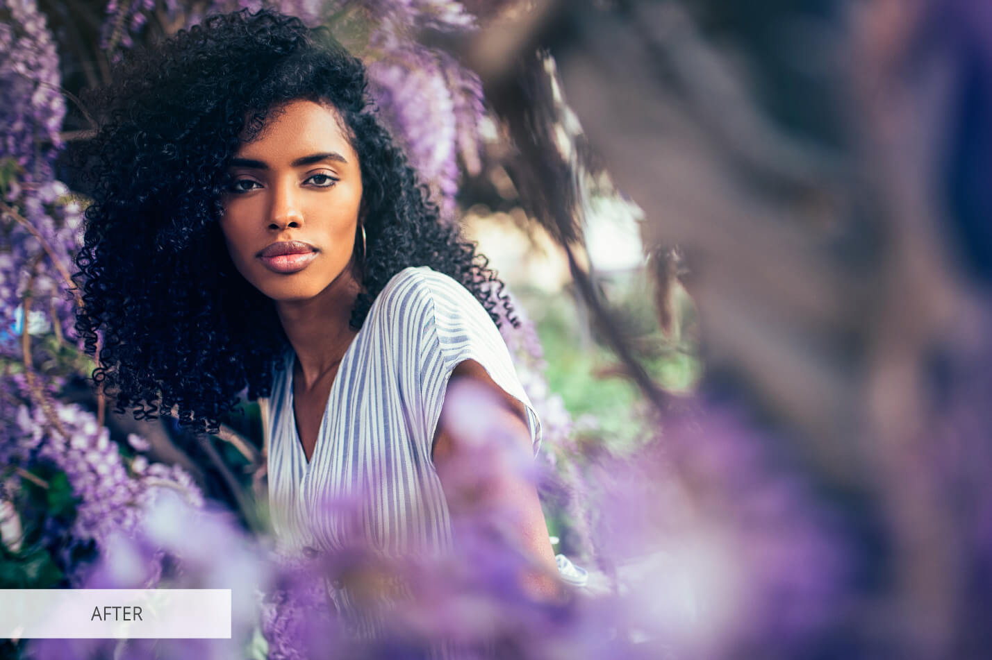 affinity photo presets download