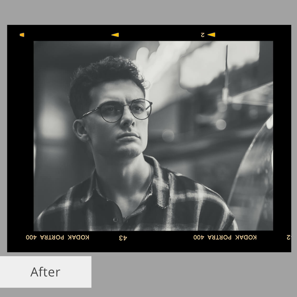 Free Polaroid Photoshop Actions