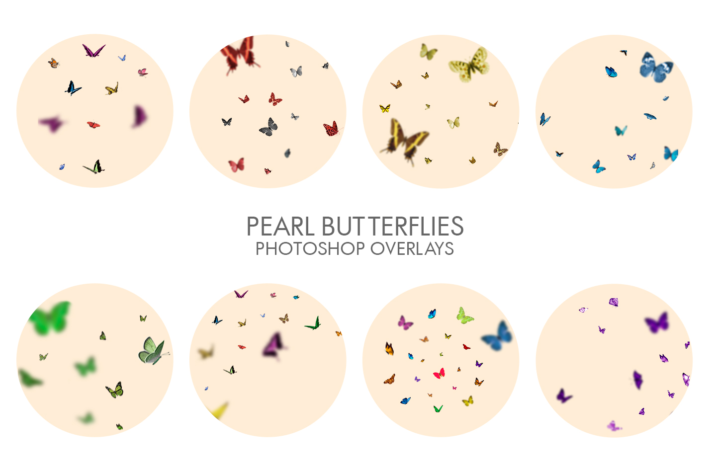 Butterfly Photoshop Overlay|Photoshop Butterfly Overlay Collection