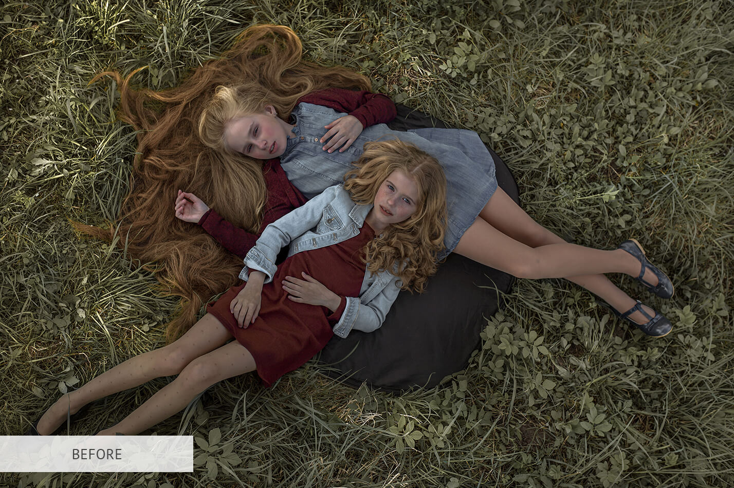 2067 Entire Collection