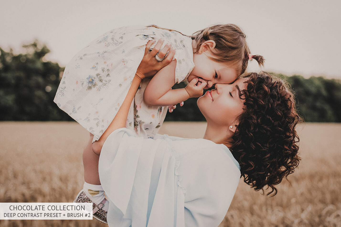 2067 Entire Collection